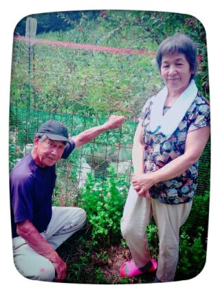 プティパ契約農家